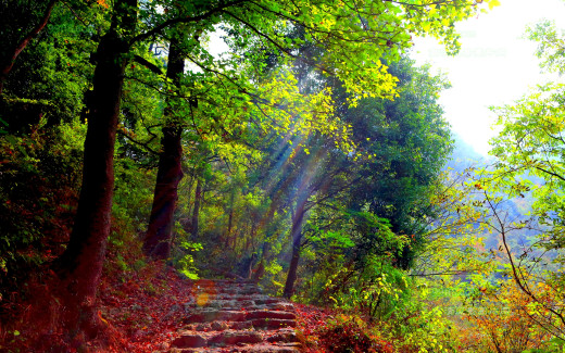 676390 (a): :1920x1200